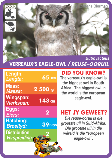 Collection of animal-themed cards with statistics.  Stat-it with Menzo wildlife card game. Safari kids bird education bird phonetics bird life verreaux eagle owl