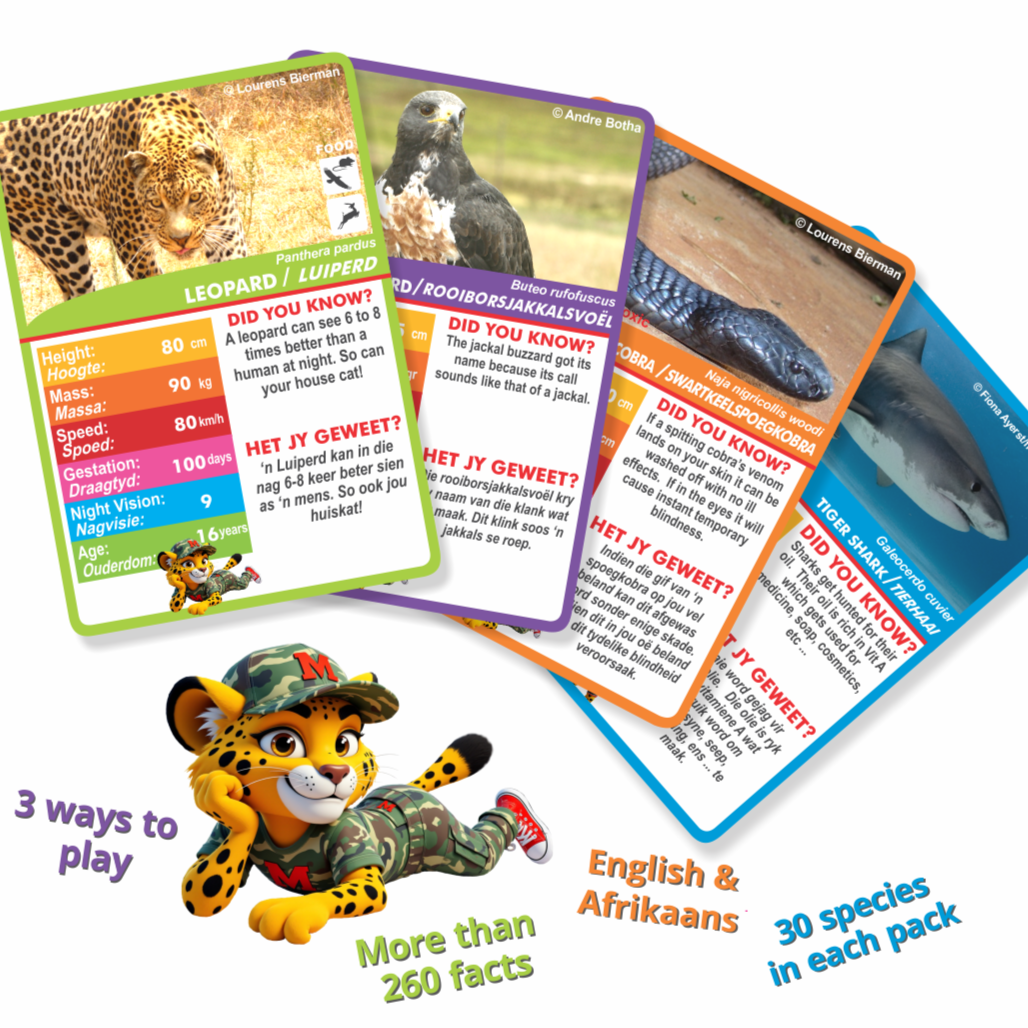 MENZO educational wildlife card game series mammals, snakes, birds and sea life. wildlife phonetics safari kids