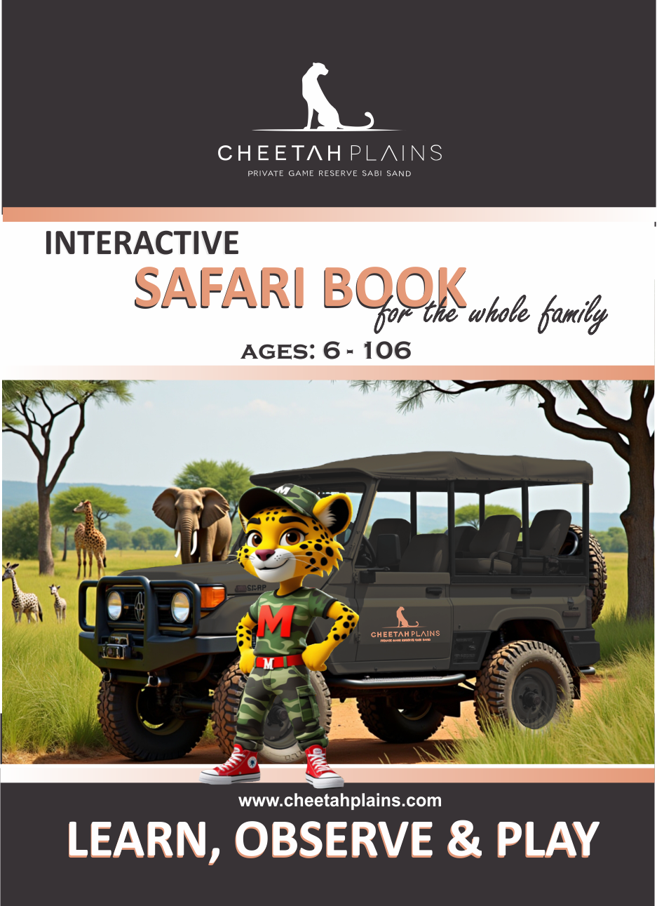 MENZO - Interactive Safari Book - (BULK - 12 books)