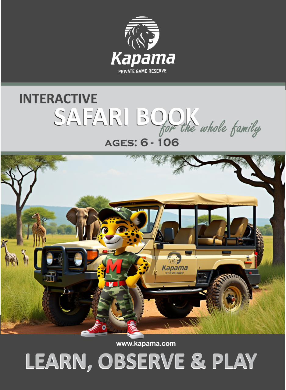 MENZO - Interactive Safari Book - (BULK - 12 books)