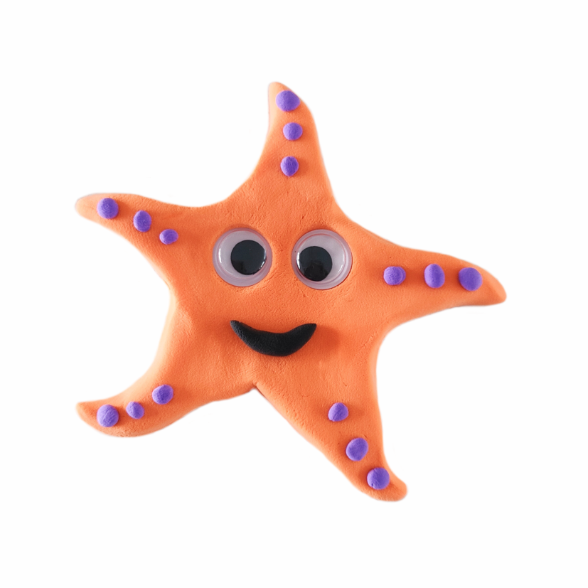 Menzo Air Dry Clay Family Fun Tub.  Kids group activities. Animal air-dry clay wildlife education creativity fine motor skill development sea life sea star