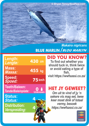 Collection of Sea Life-themed cards with statistics.  Stat-it with Menzo sea life card game. Safari kids sea life education sea life ocean phonetics fisherman