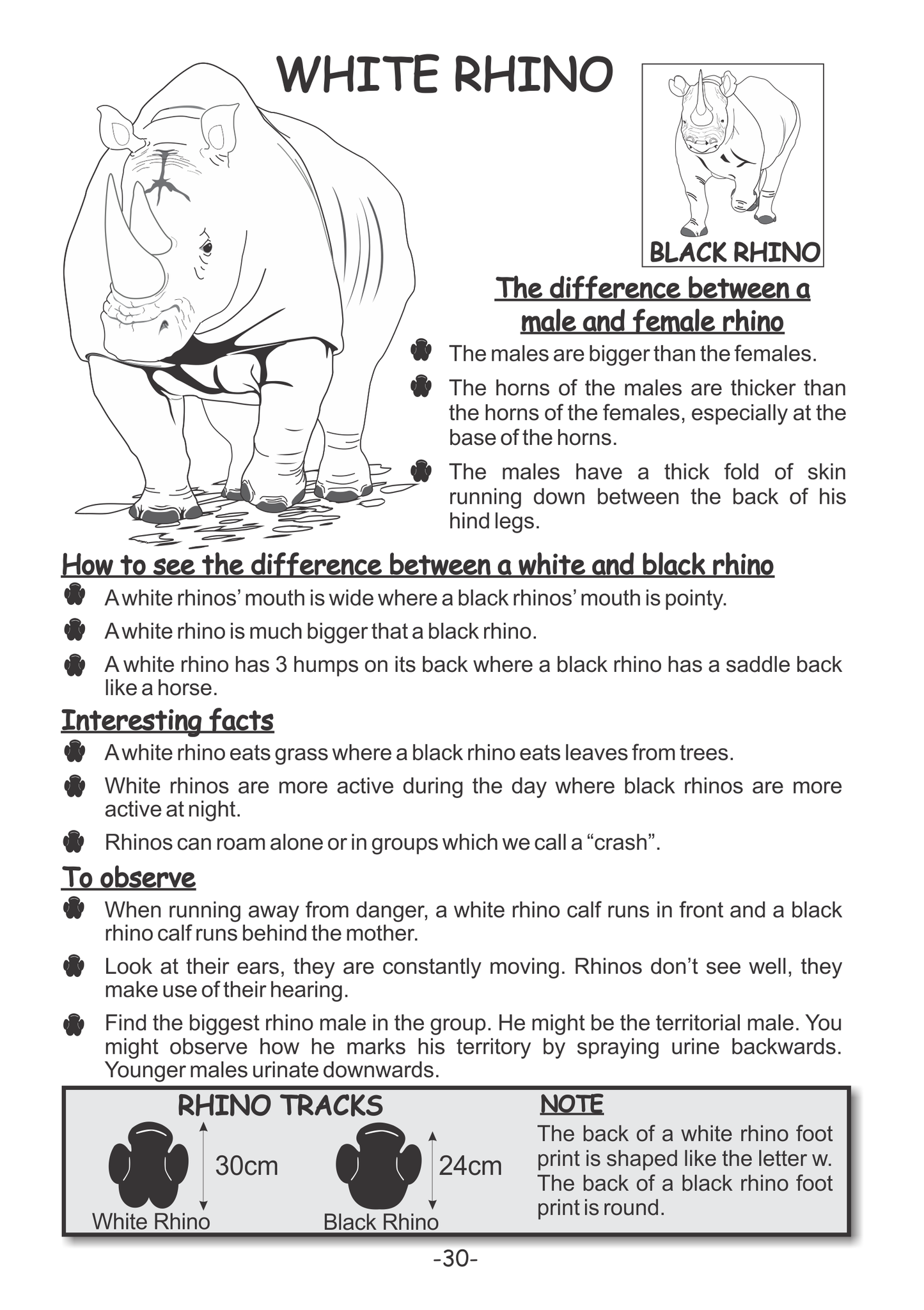 wildlife book for safari on game drive with children  family holiday activities child friendly lodges