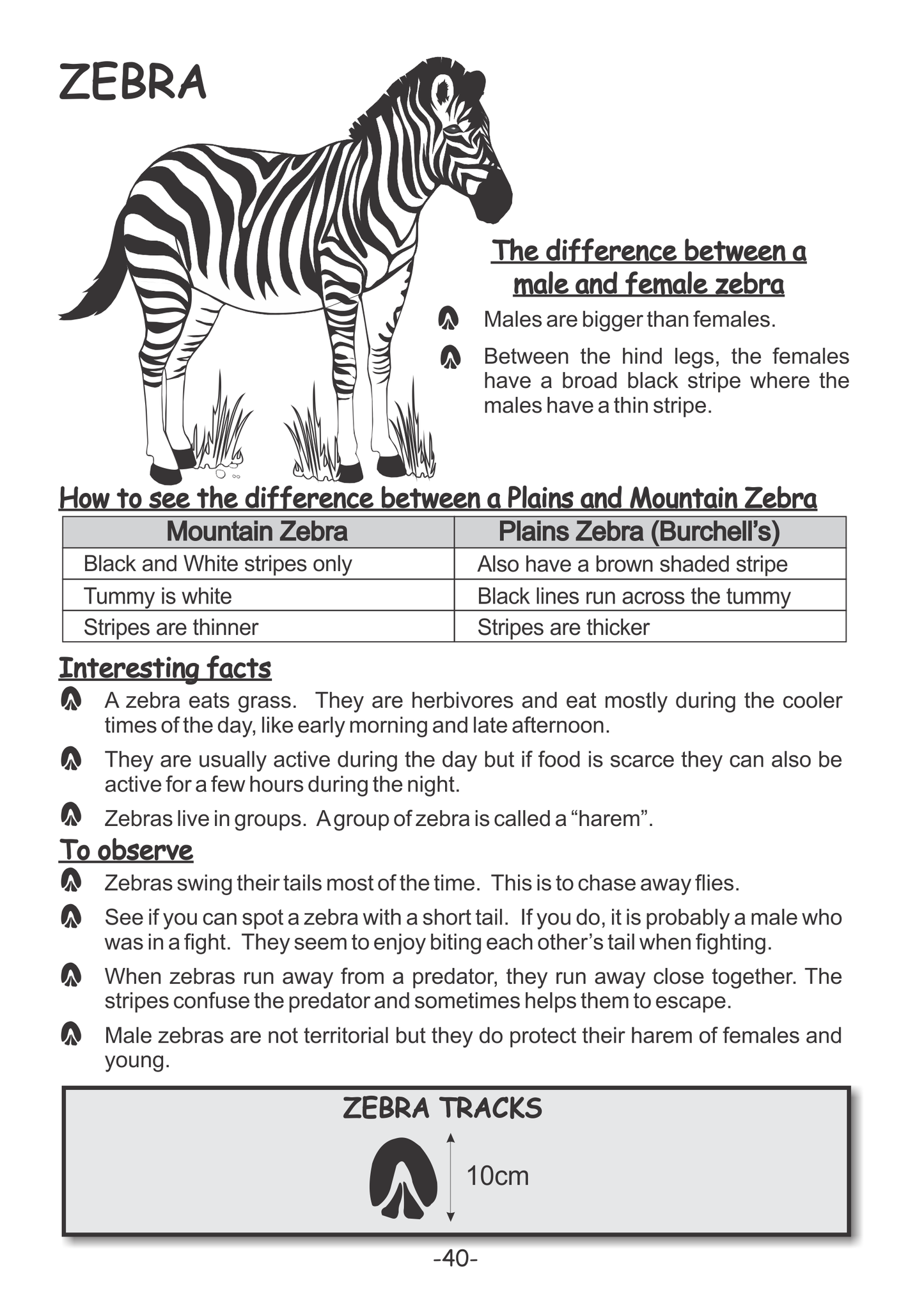 wildlife book for safari on game drive with children  family holiday activities child friendly lodges