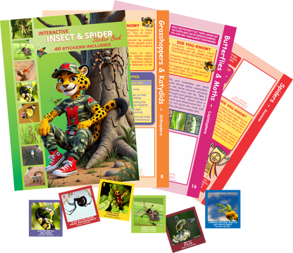 Menzo interactive insect and spider sticker book.  wildlife education insects and spiders sticker book