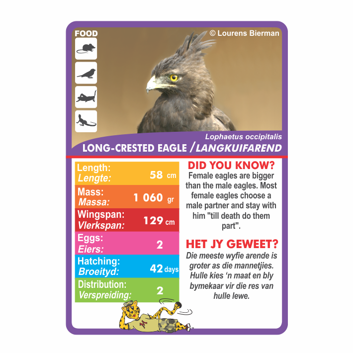 endangered birds playing cards games bird enthusiasts Kruger National Park wildlife education for kids family holiday activities