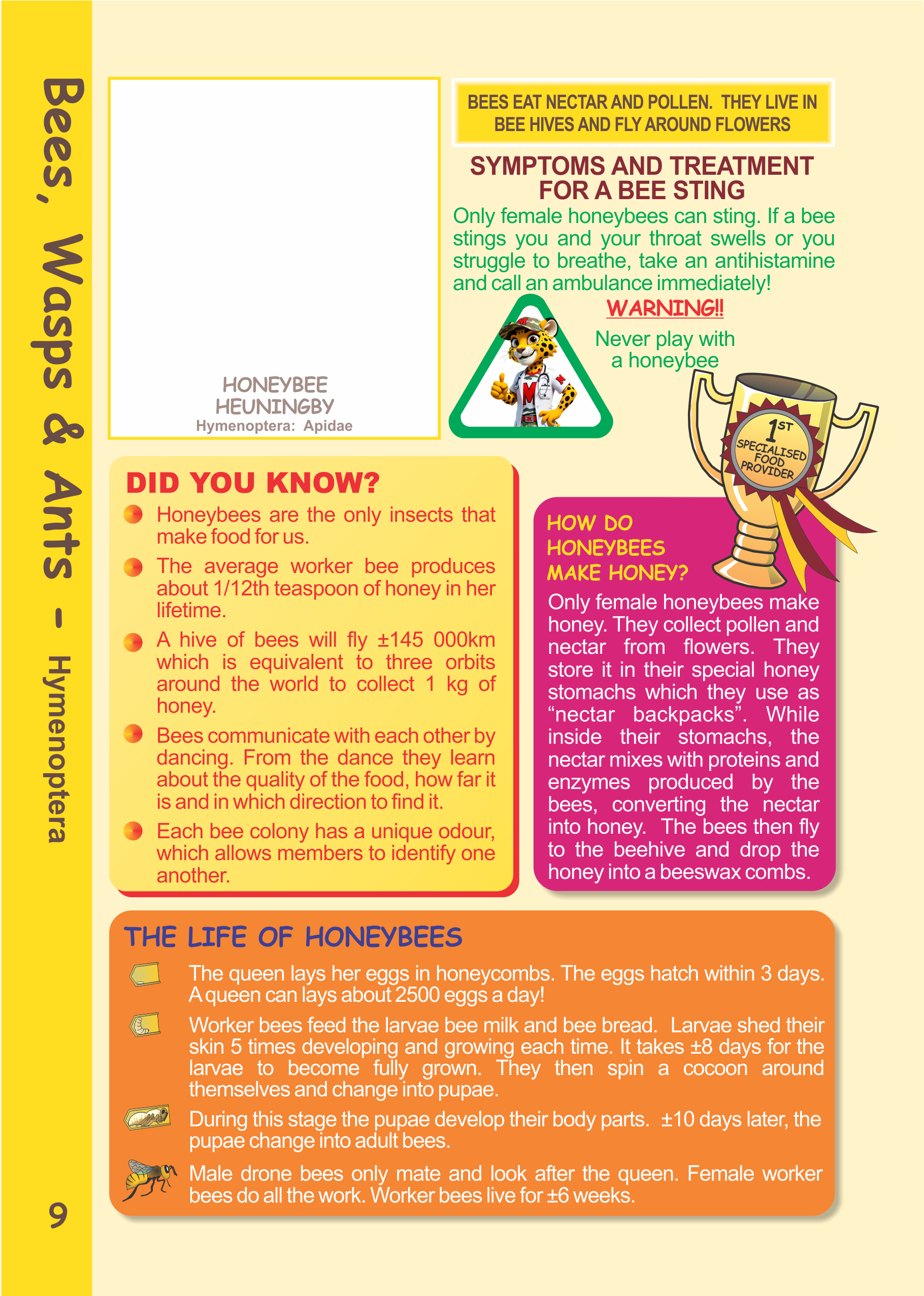 insect and spider sticker book which are the most dangerous spiders in South Africa best places to go camping with children