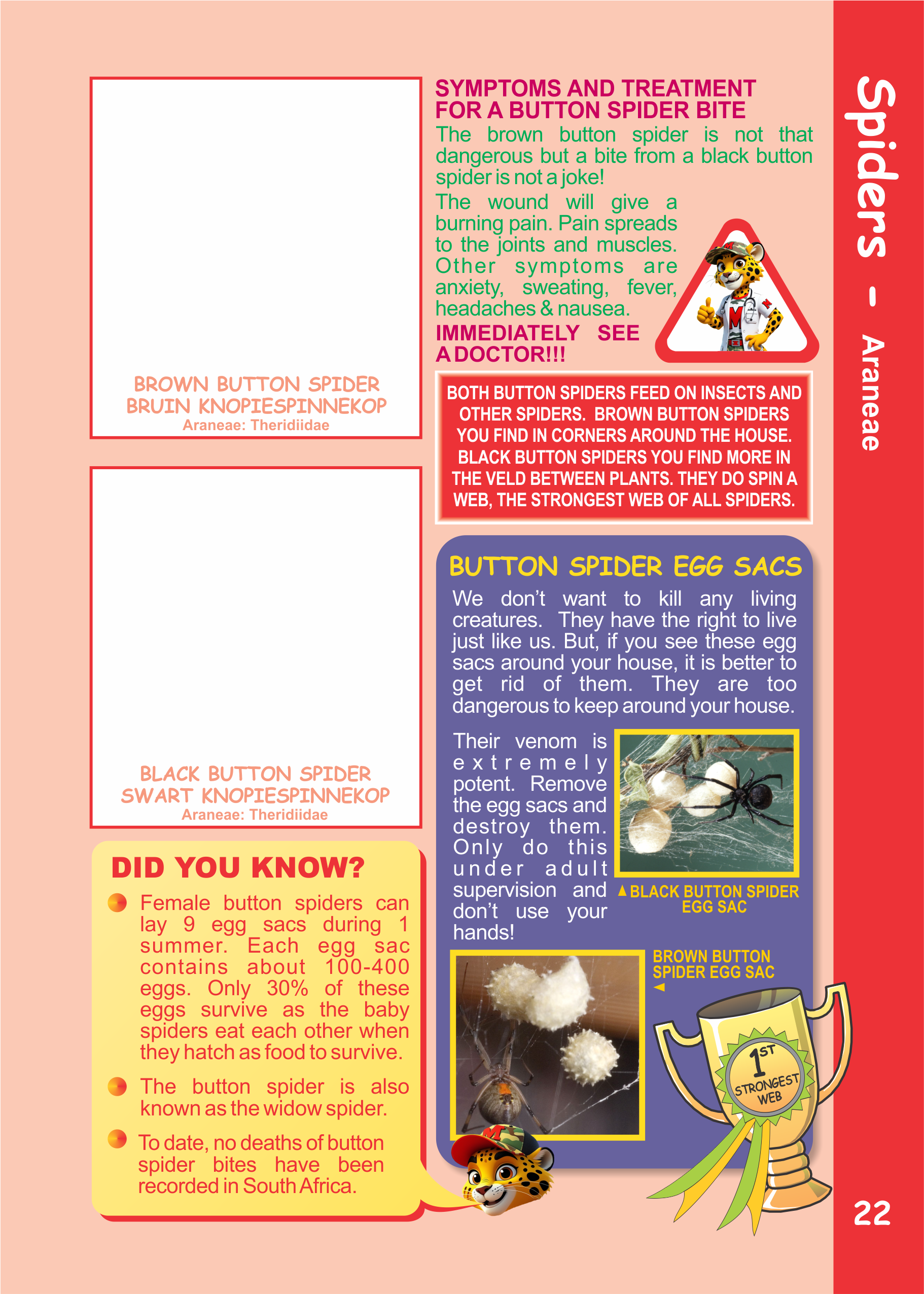 insect and spider sticker book which are the most dangerous spiders in South Africa best places to go camping with children