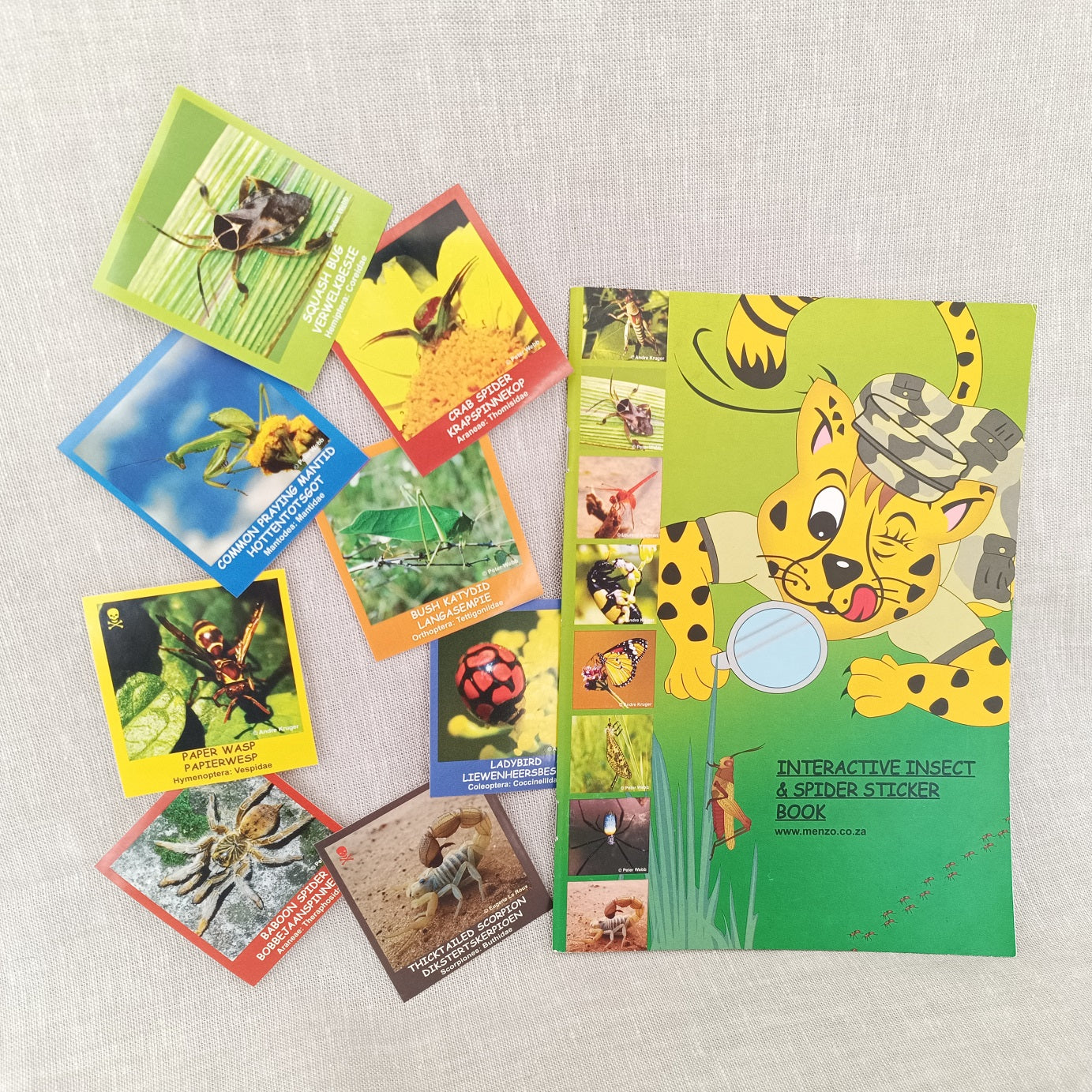 Menzo insect and spider activity sticker book for kids which are the most dangerous spiders in South Africa best places to go camping with kids