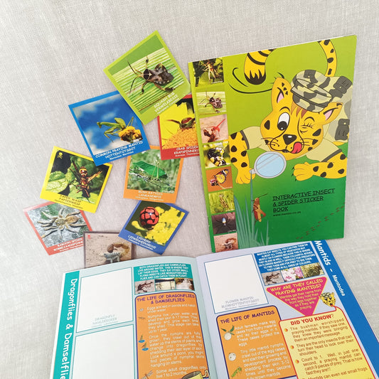 Menzo insect and spider activity sticker book for kids insect and spider sticker book which are the most dangerous spiders in South Africa best places to go camping with kids