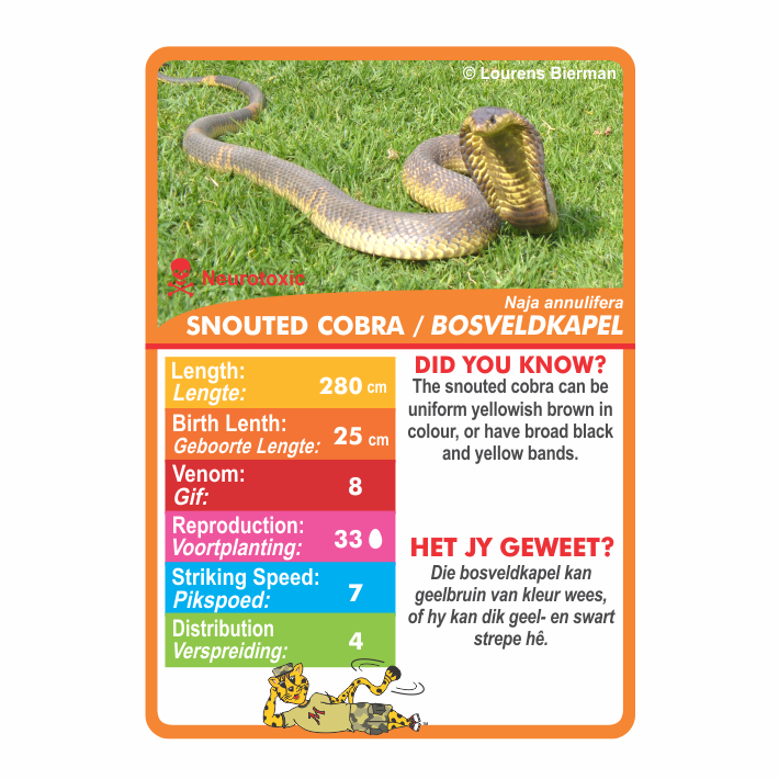 Wildlife playing card games complete series wildlife education kids family holiday activities