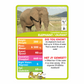 MENZO - Stat-it with Menzo Wildlife Card Series - (BULK box of 30 units)