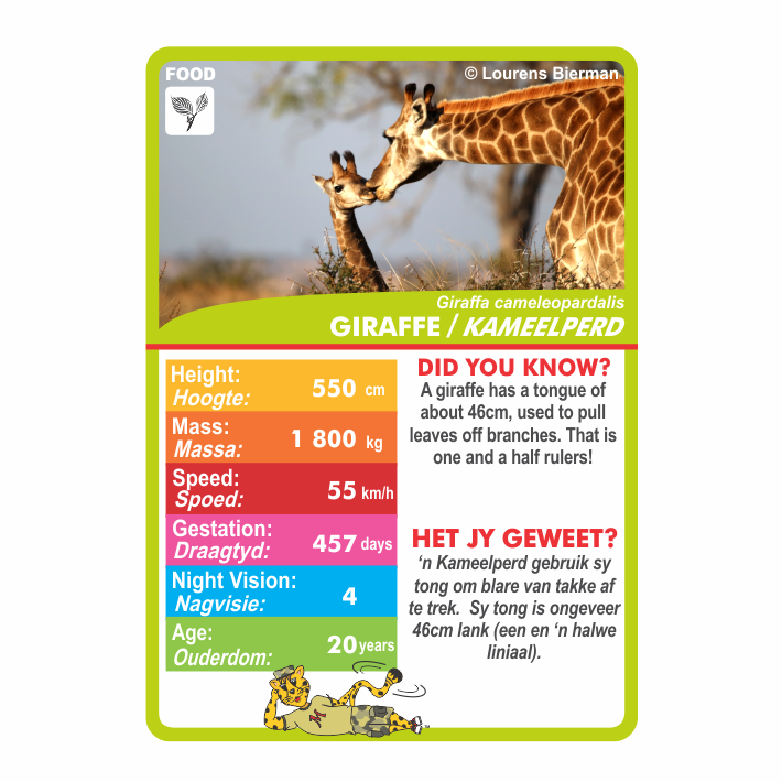 Wildlife of South Africa playing cards mammals wildlife education kids family holiday activities Kruger National Park