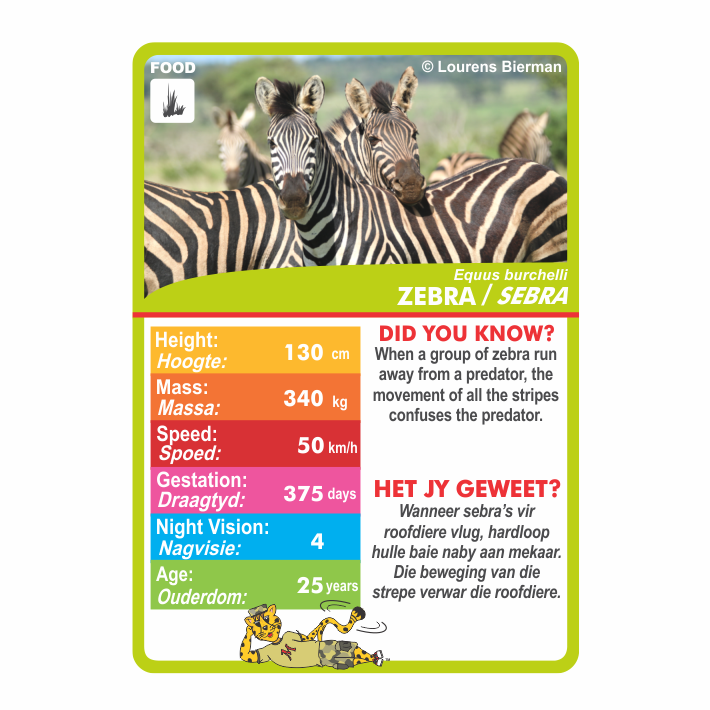 Wildlife of South Africa playing cards mammals wildlife education kids family holiday activities Kruger National Park