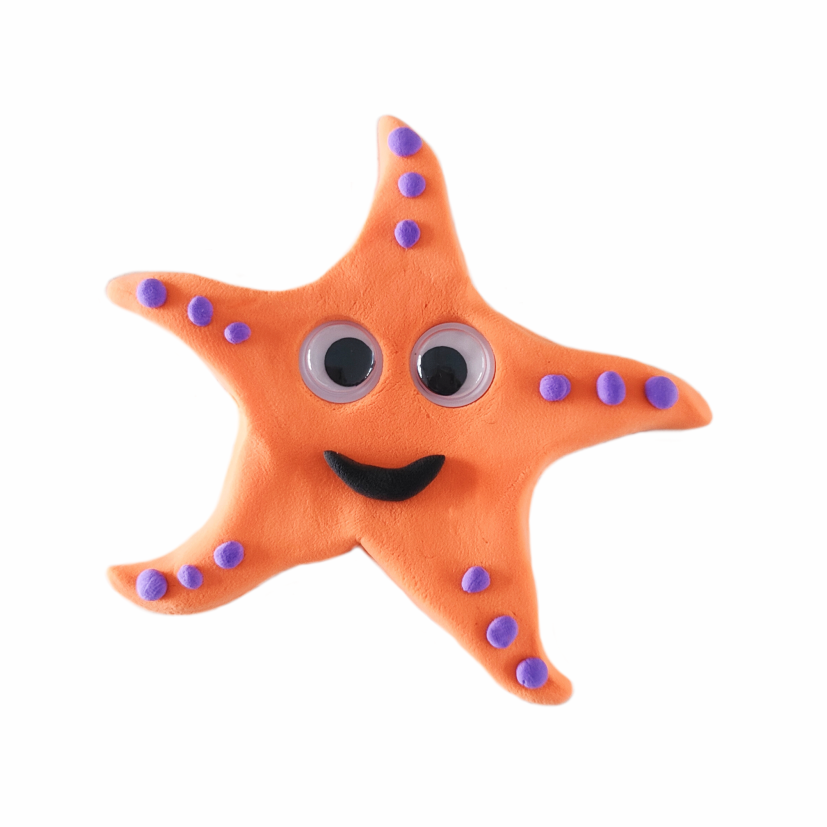 Menzo animal air dry clay ideas sea star family fun activity