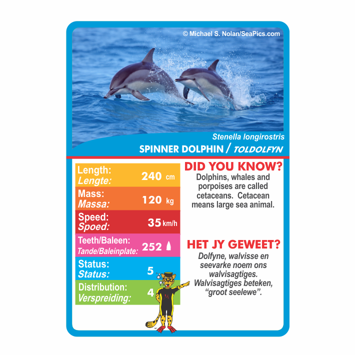 MENZO - Stat-it with Menzo Wildlife Card Series - (BULK box of 30 units)