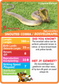 Collection of snake-themed cards with statistics.  Stat-it with Menzo snake card game. Safari kids snake education snake phonetics cobra