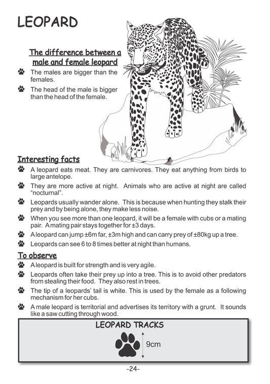 Menzo interactive safari book.  educational wildlife book for children. kids safari.  ideal for child friendly safari lodges leopard